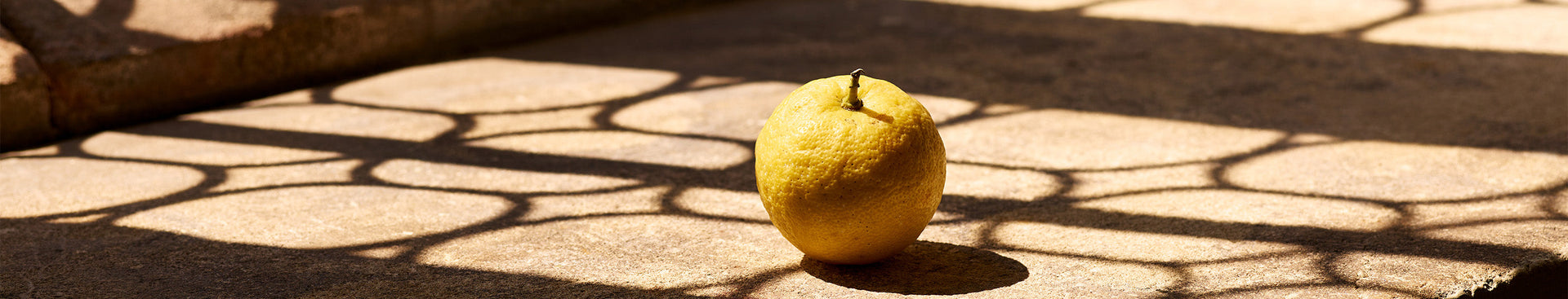 Bergamot: The Jewel of Perfumery