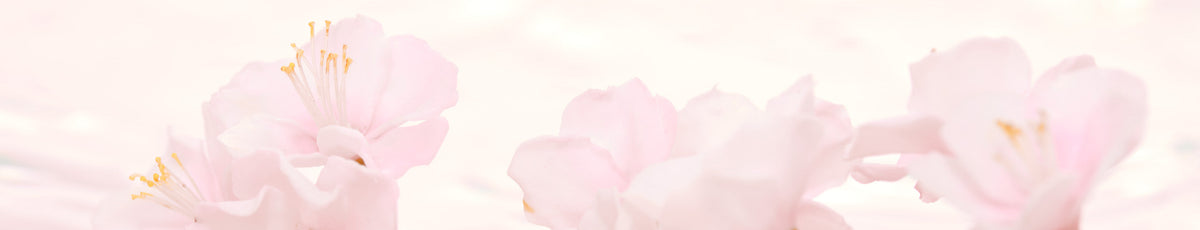A perfume bottle labeled "Floris" sits on a stone ledge among pink cherry blossoms.