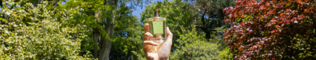 Hand holding a bottle of perfume with a blurred background of lush green and red foliage.
