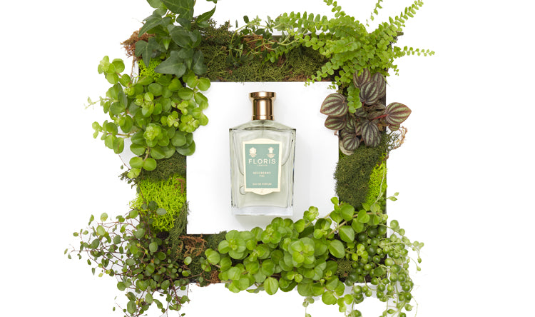 A square picture frame leafy greens and Mulberry Fig Eau de Parfum from Floris London 