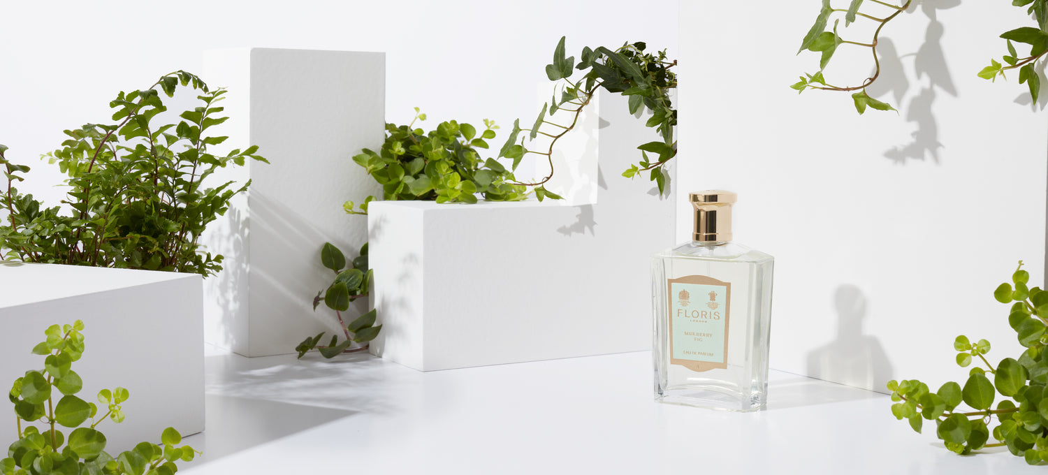 A bottle of Floris London Mulberry Fig with a green leafy background 