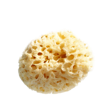 a yellow looking natural sponge with holes